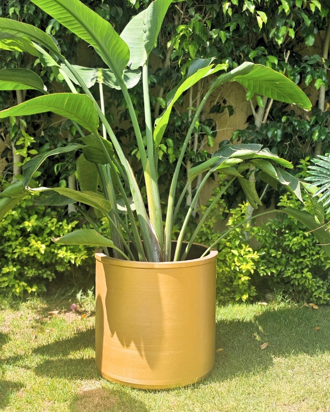 Cylinder Type Vase
