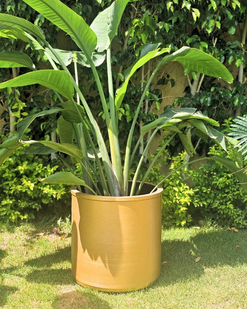 Cylinder Type Vase