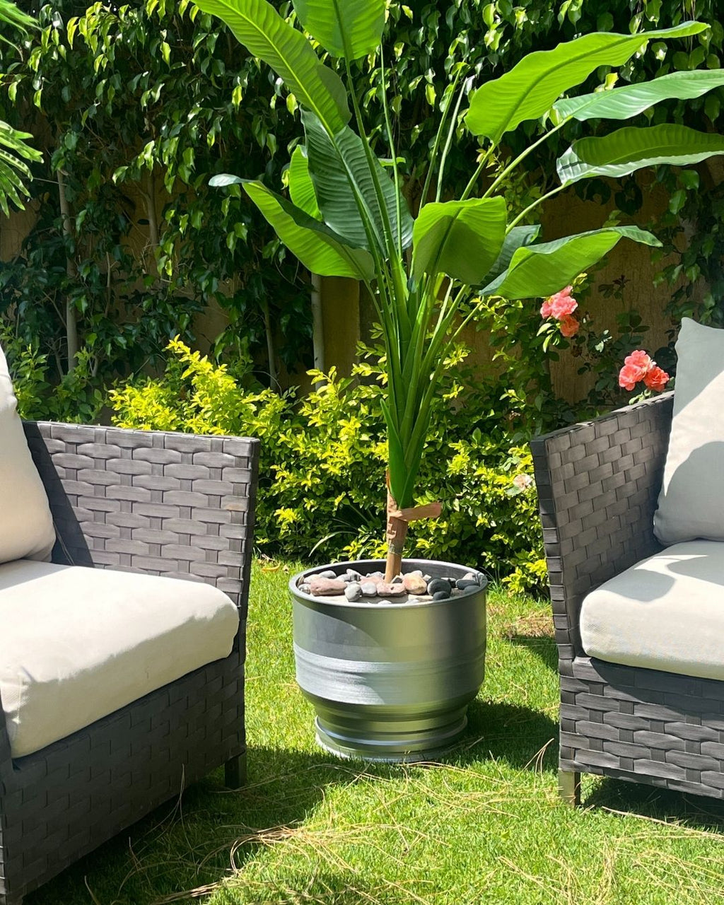 Circle Shape Vase