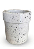 Glossy Dottef White