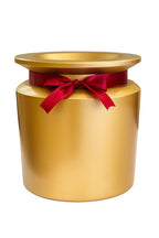 The Golden Ribbon Pot Lip