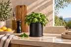 Pot Plate Bottom - cover