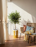 Striped Plum Vase