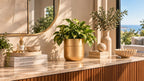 Aurea Pot - cover