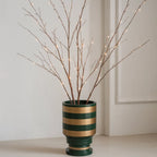 The Golden Evergreen Botanical Vase