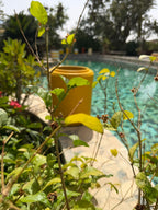 Sunny Speckled Vase