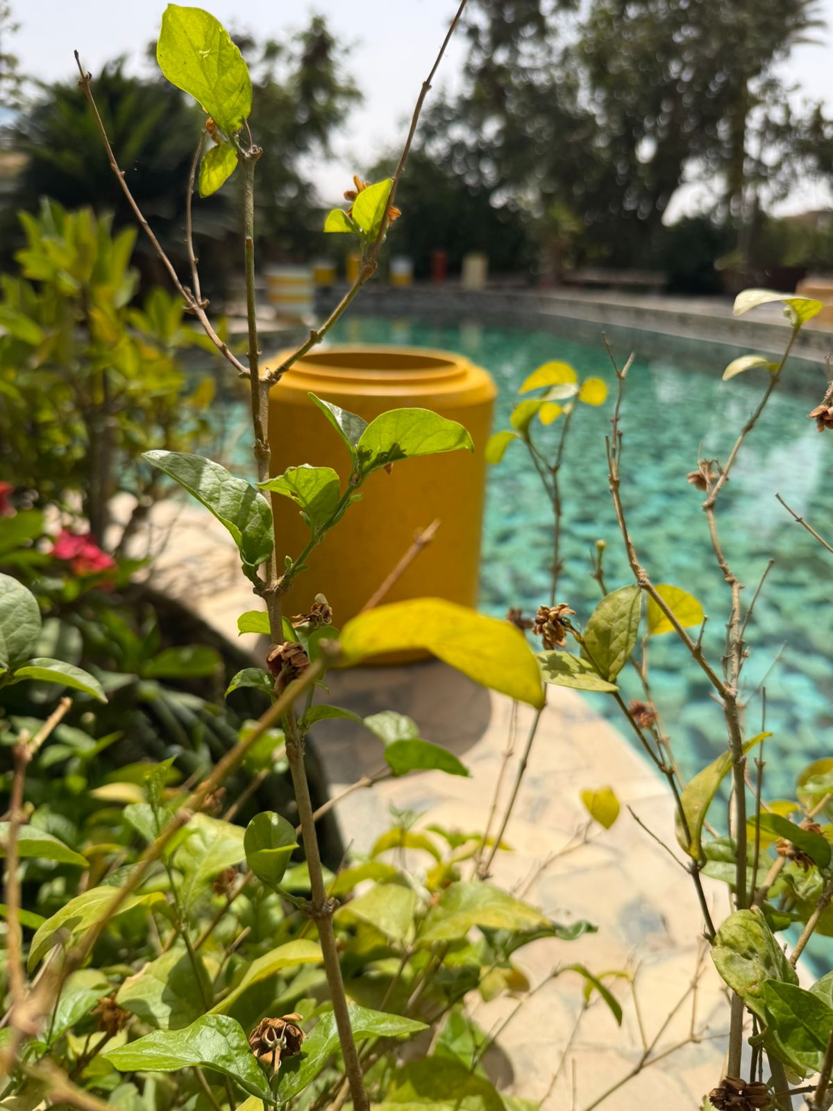Sunny Speckled Vase