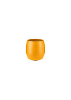 Bowl Shape Vase