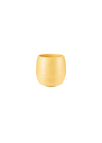 Bowl Shape Vase