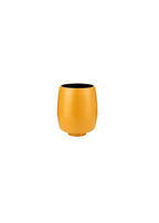 Pedestal Vase
