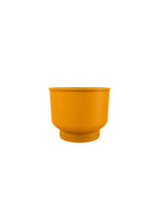 Crown Jewel Vase