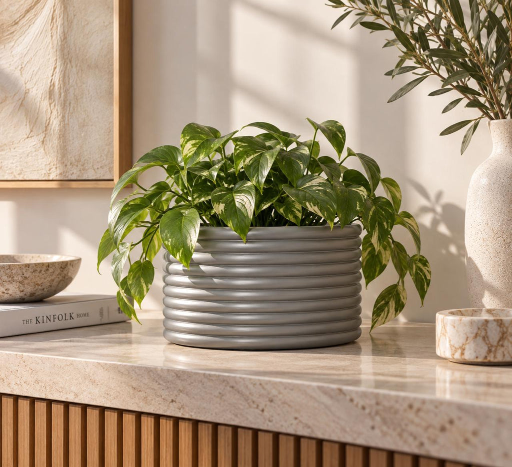 Corrugated Pot - cover